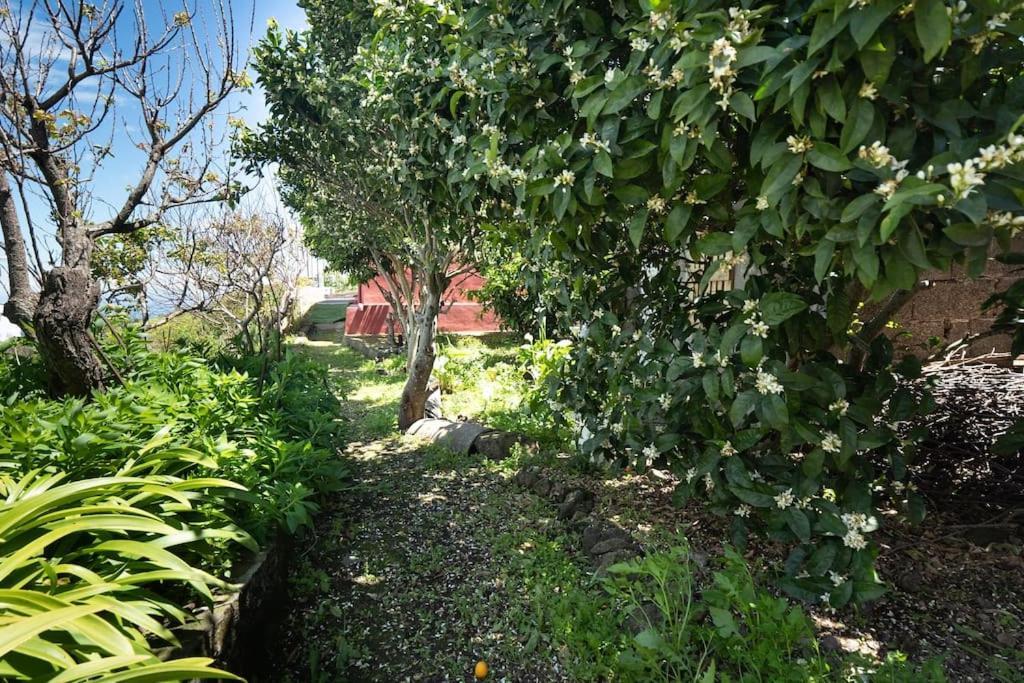 Casa El Monte Villa San Juan del Reparo Dış mekan fotoğraf