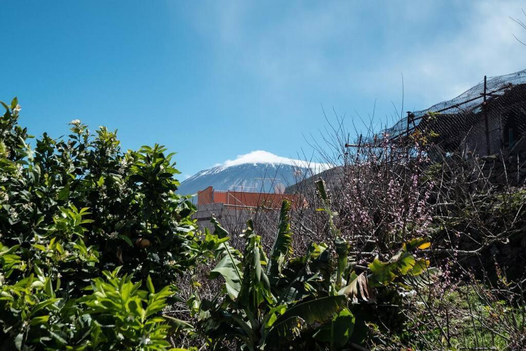 Casa El Monte Villa San Juan del Reparo Dış mekan fotoğraf